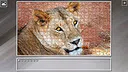 Super Jigsaw Puzzle: Generations - Big Cats 3 Screenshot 20