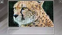 Super Jigsaw Puzzle: Generations - Big Cats 3 Screenshot 7