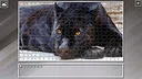 Super Jigsaw Puzzle: Generations - Big Cats 3 Screenshot 5
