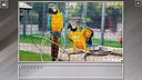 Super Jigsaw Puzzle: Generations - Parrots Screenshot 24