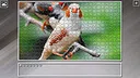 Super Jigsaw Puzzle: Generations - Parrots Screenshot 28