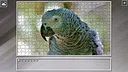 Super Jigsaw Puzzle: Generations - Parrots Screenshot 1