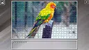 Super Jigsaw Puzzle: Generations - Parrots Screenshot 27