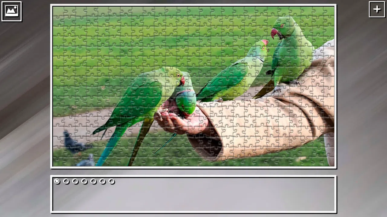 Super Jigsaw Puzzle: Generations - Parrots Screenshot 26