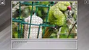 Super Jigsaw Puzzle: Generations - Parrots Screenshot 23