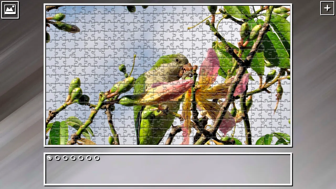 Super Jigsaw Puzzle: Generations - Parrots Screenshot 18
