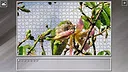 Super Jigsaw Puzzle: Generations - Parrots Screenshot 18