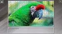 Super Jigsaw Puzzle: Generations - Parrots Screenshot 11