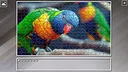 Super Jigsaw Puzzle: Generations - Parrots Screenshot 16