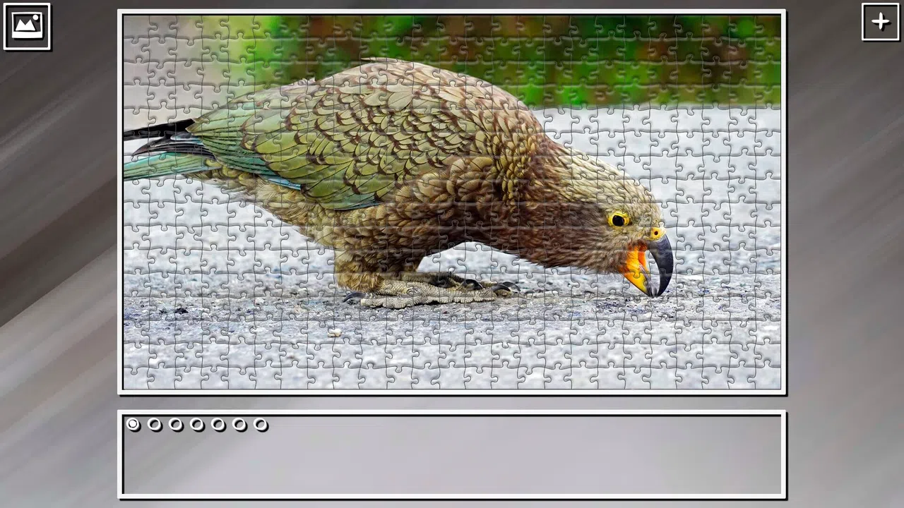 Super Jigsaw Puzzle: Generations - Parrots Screenshot 7