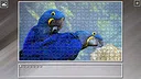 Super Jigsaw Puzzle: Generations - Parrots Screenshot 6