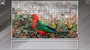 Super Jigsaw Puzzle: Generations - Parrots Screenshot 5
