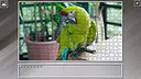 Super Jigsaw Puzzle: Generations - Parrots Screenshot 8