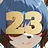 23 level completed