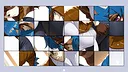 Hentai Furry Raccoon Screenshot 0
