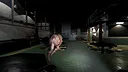 Dead 4 Now: Escape Together Screenshot 3