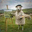 Black Sheep Precision icon