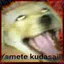 Doggy Paddle icon