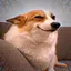 Petting the Wolf icon