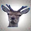 Deer in Headlights icon