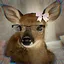 Safe in the Thicket icon