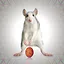 The Slow Grind icon