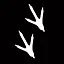 First Step Beyond the Coop icon