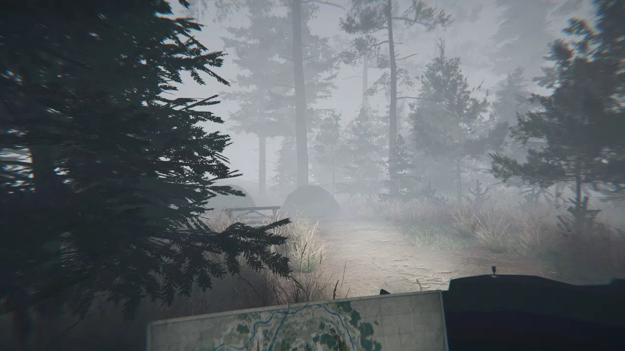 Midnight Files - Missing in Forest Lake Screenshot 5