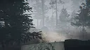 Midnight Files - Missing in Forest Lake Screenshot 5