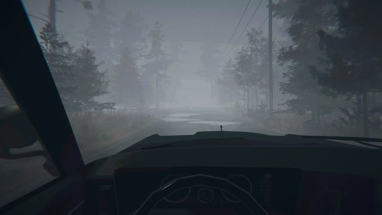 Midnight Files - Missing in Forest Lake Screenshot 0