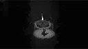 Waterfowl Screenshot 4