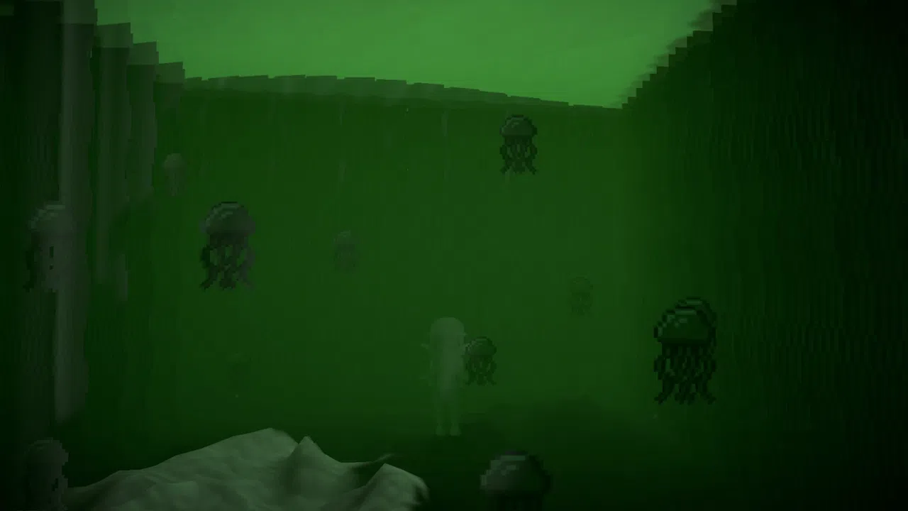 Husk of Axiom Screenshot 3