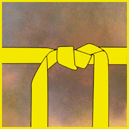 I Have a Yellow Belt in Shotokan Karate icon