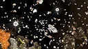Cellscape Demo Screenshot 2