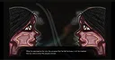Taleweavers Alliance Anthology Screenshot 2