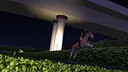 TOP STEED Screenshot 7