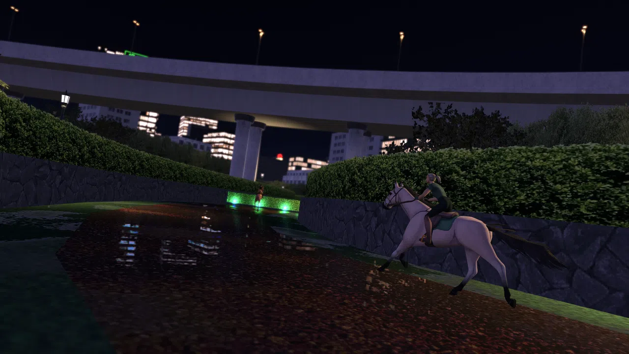 TOP STEED Screenshot 8