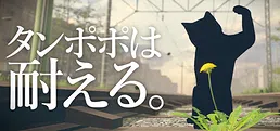 タンポポは耐える。