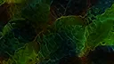 Strata Screenshot 6