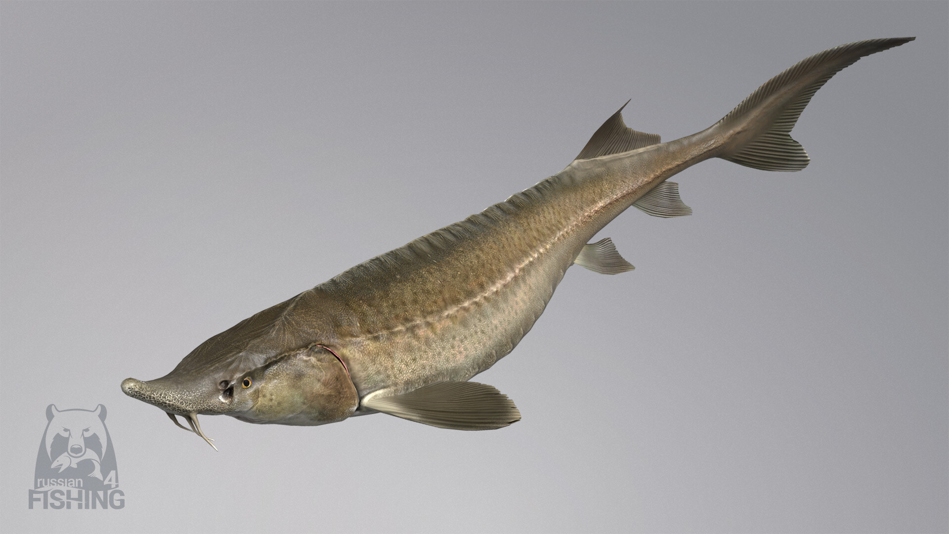 Russian Fishing 4 Screenshot 62