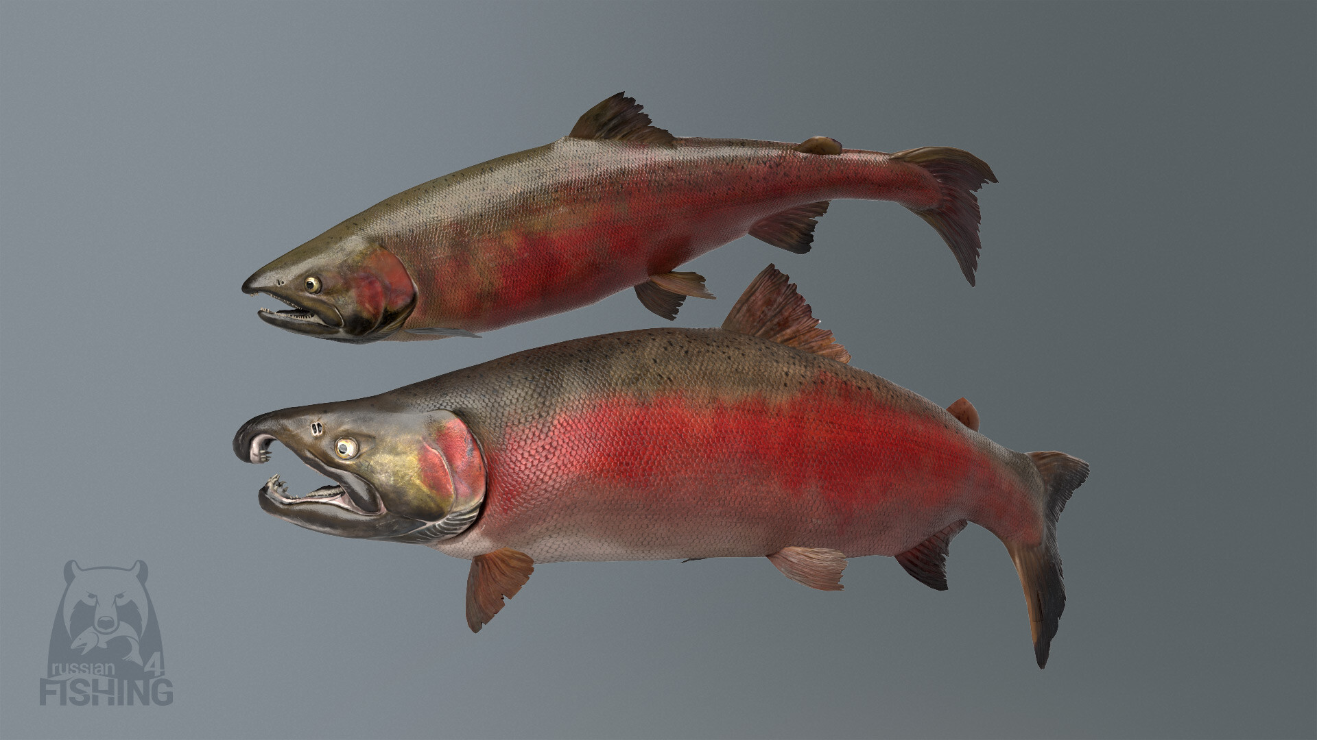 Russian Fishing 4 Screenshot 60