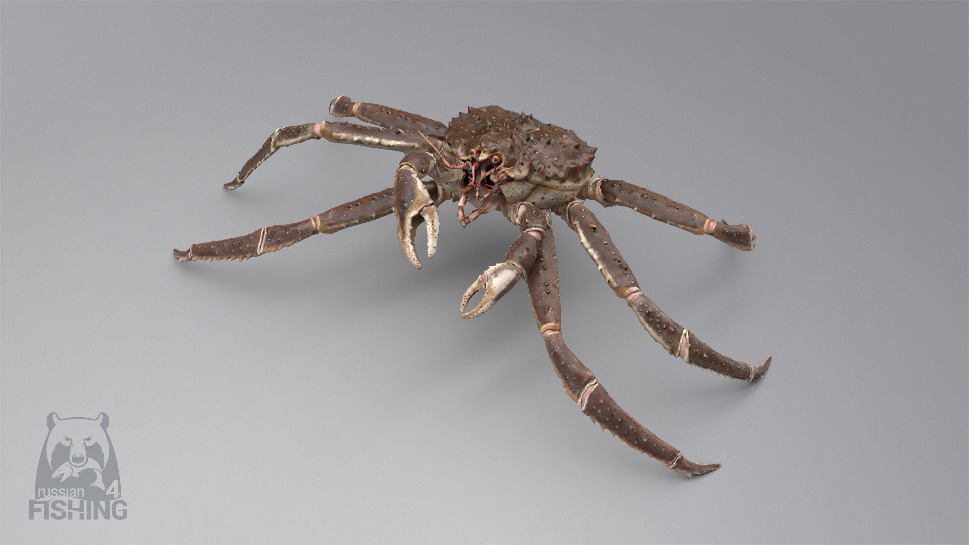 Russian Fishing 4 Screenshot 61