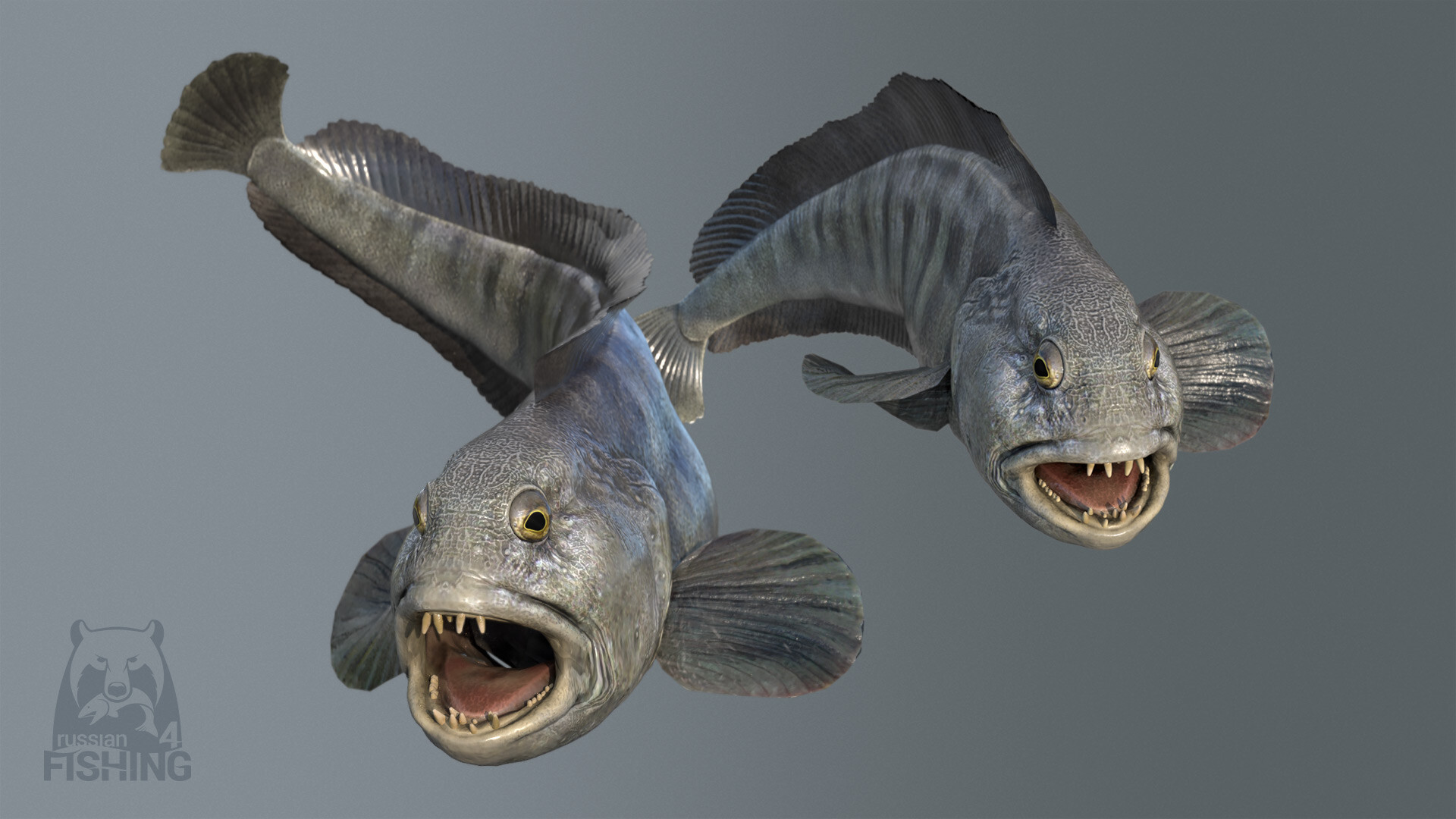 Russian Fishing 4 Screenshot 4