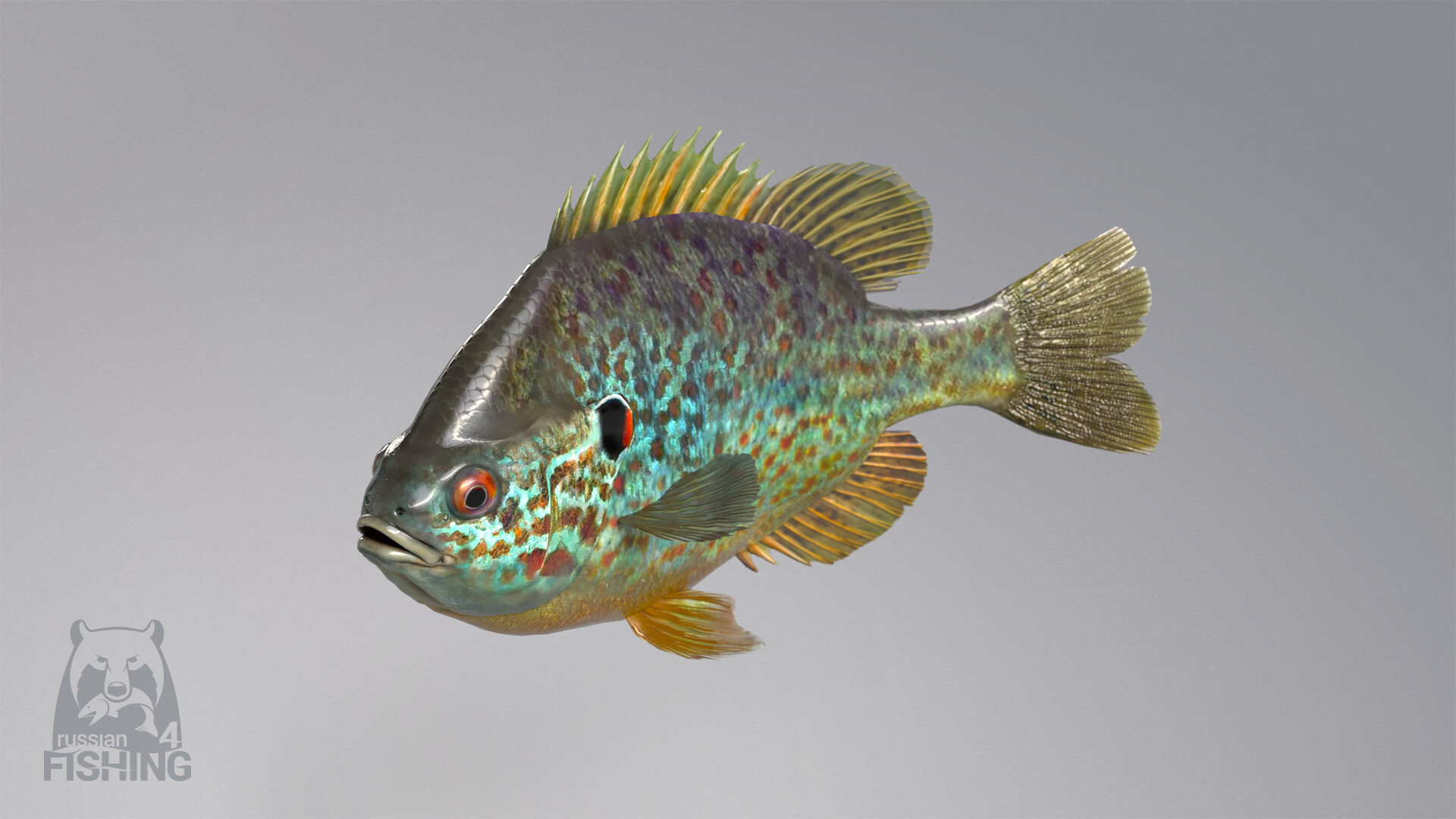 Russian Fishing 4 Screenshot 11