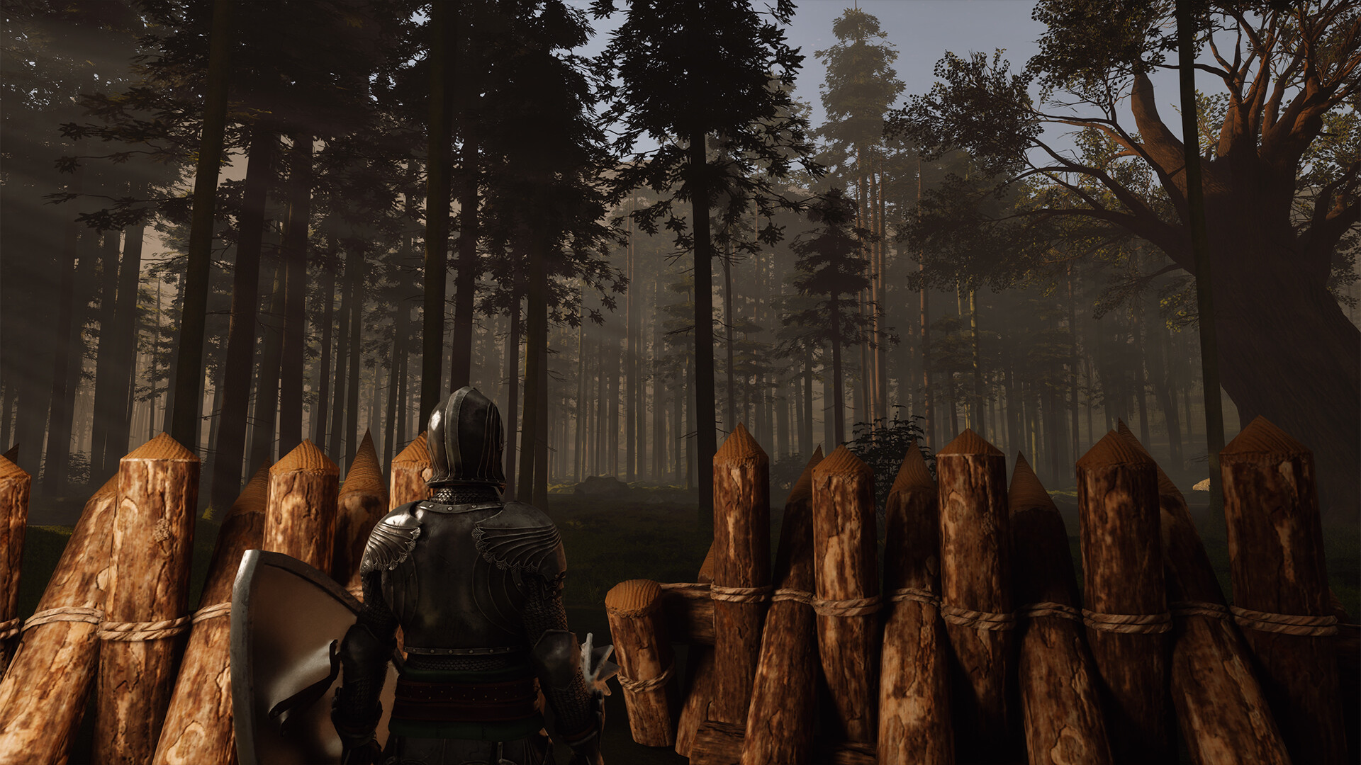 Stoneguard Screenshot 2