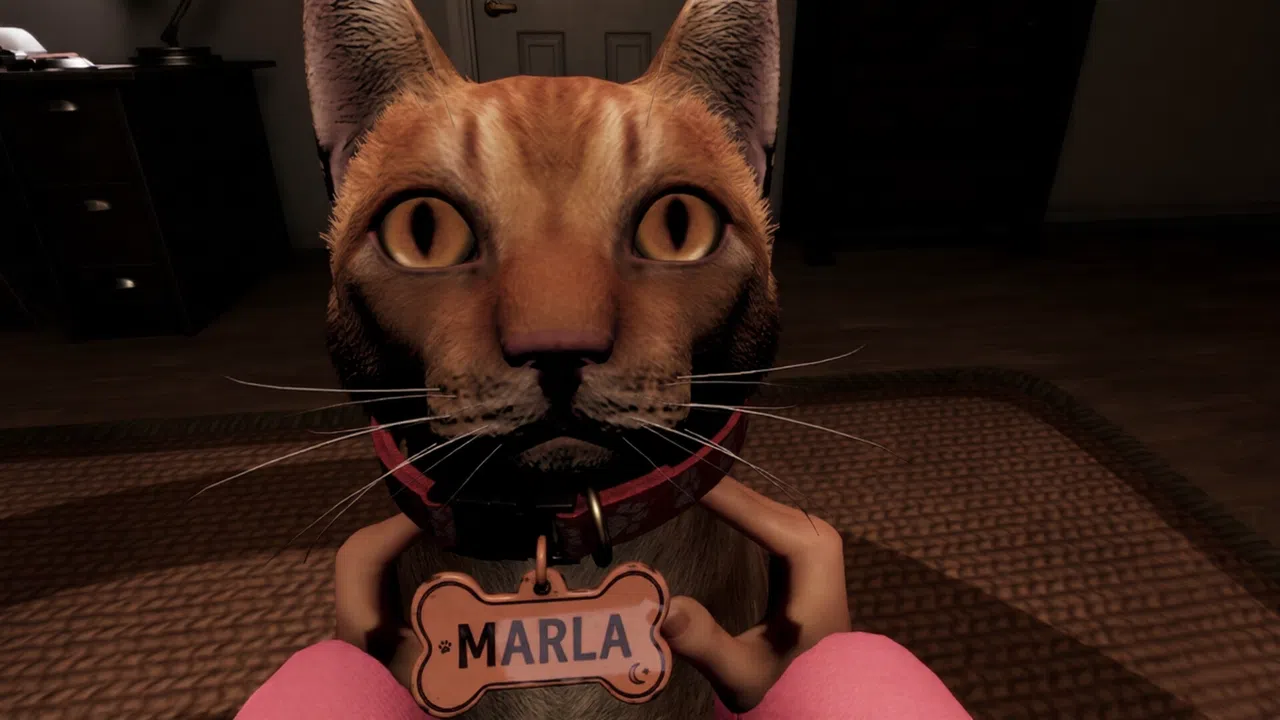 The Blinking Room Screenshot 2
