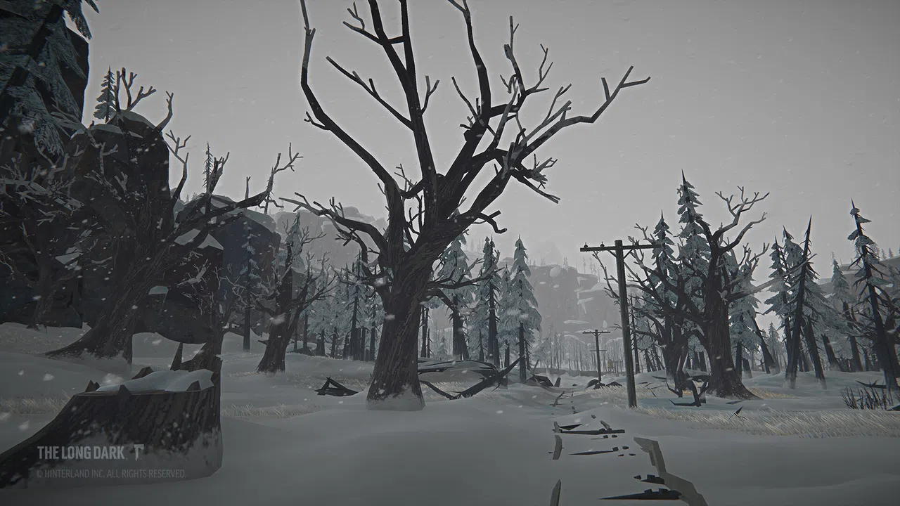The Long Dark: Tales from the Far Territory Screenshot 8