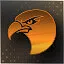 Eagle Eye icon