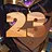23 level completed