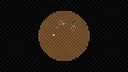 Beetle Sumo Screenshot 3